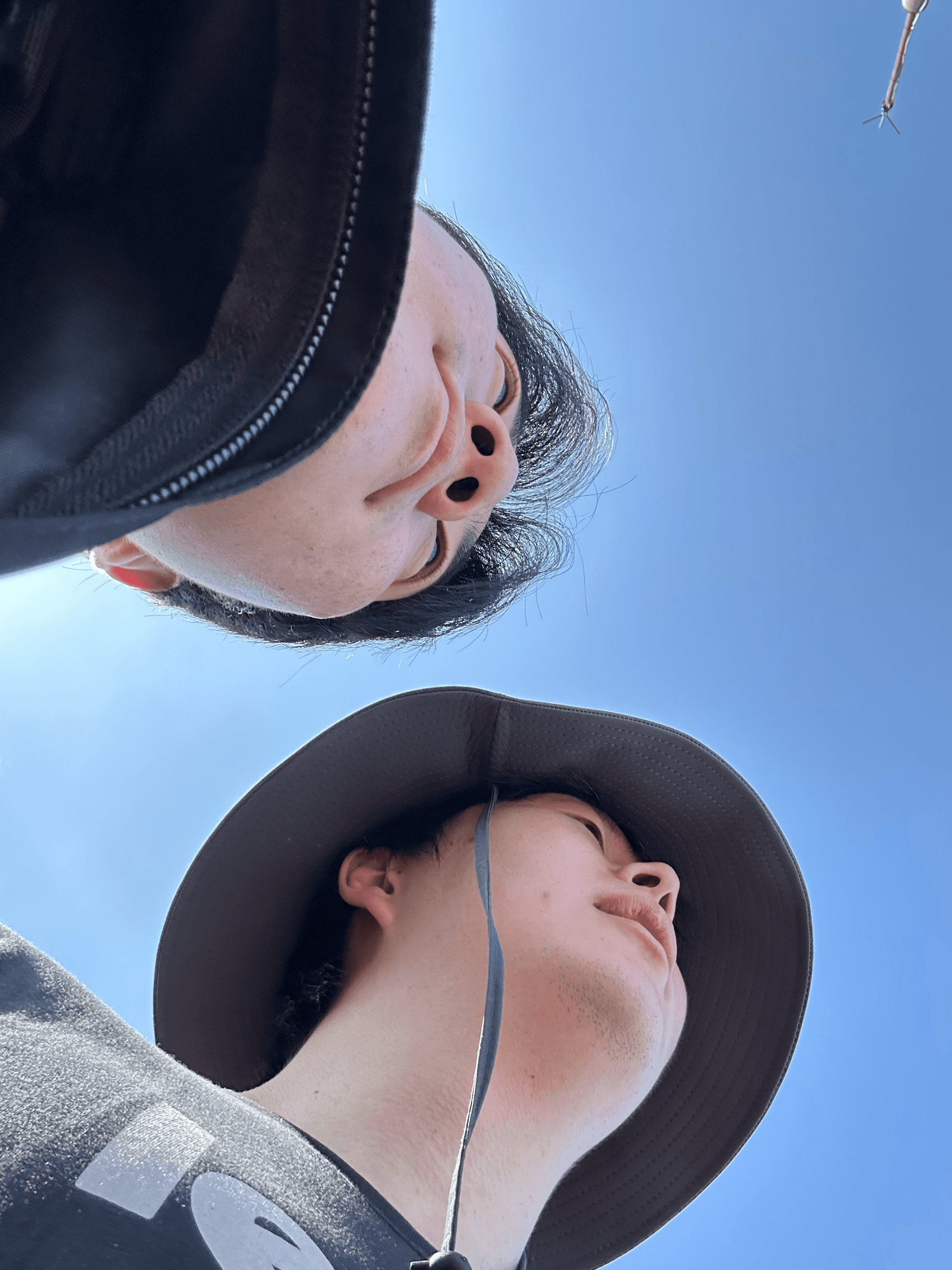 친구들의 이상한 사진